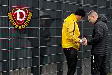 Dynamo-Dresden-Blog: Nächste Zwangspause? Schreiber fehlt in Münster wohl verletzt