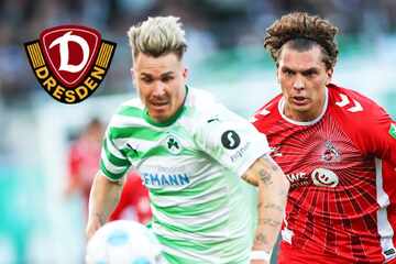 Dynamo-Dresden-Blog: Abwehr-Juwel von Bundesligist im Anflug?