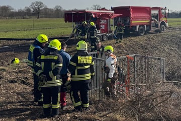 Leiche in Bachlauf entdeckt, Polizei bestätigt traurige Vermutung