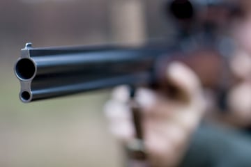 Brandenburg plant Wolfsjagd: Naturschützer schlagen Alarm