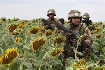 Ukraine-Krieg: Russen sollen in Prokowsk sein - Ukraine dementiert