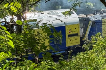 Oberleitung gerissen, Zug mit über 600 Gästen evakuiert: Strecke nach Feuer wieder befahrbar