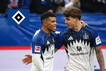 HSV-Blog: HSV schickt Vuskovic nach fünfter gelber Karte weg