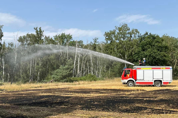 Flammen auf Feld: Feuerwehr verhindert Waldbrand!