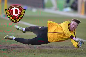 Bethke oder Schreiber? Dynamo-Trainer macht das Keeper-Thema wieder auf