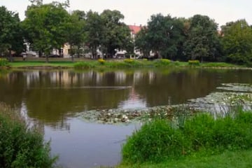 Leipzig: Gruppe spielt Fußball in Park, plötzlich fliegen Gegenstände umher