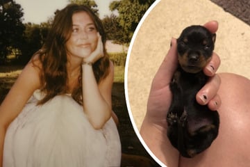 Frau gibt zweibeinigem Dackelwelpen eine Chance: So toll hat sich die Hündin entwickelt