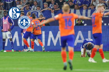 Irres Spiel auf Schalke: Jubelnde Darmstädter drehen 0:3-Rückstand!