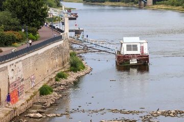 Rekord-Niedrigwasser in Magdeburg: Jetzt wird es noch heißer