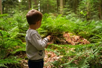 Alleine im Wald voller Bären: Kleiner Junge überlebt drei Tage in der Wildnis