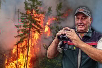 Da staunt der Nationalpark-Ranger nicht schlecht: Die Feuersbrunst war furchtbar - und jetzt das!