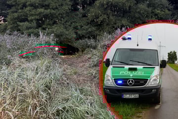 Vermisste Frau tot im Wald entdeckt: Partner legt Geständnis ab