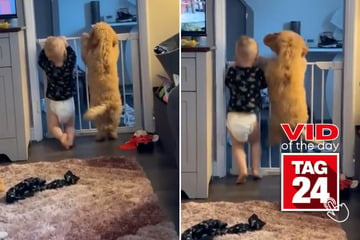 Viral Video of the Day for February 16, 2024: Little boy and golden pup win millions of hearts on TikTok!