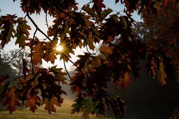 Herbstwetter im Anmarsch: Regen und kühlere Temperaturen in NRW