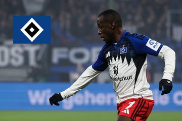 HSV-Blog: Jean-Luc Dompé legt sich mit Fan an