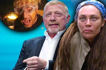 Dschungelcamp: Boris Becker im Knast: "Er hat nicht die ganze Wahrheit erzählt!"