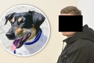 Weil Hund mit ins Bett durfte: Max erschlägt Vierbeiner seiner Freundin!