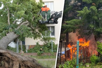 Kräftiges Unwetter fegt über Sachsen: Baum kracht in Haus, Blitzeinschlag sorgt für Brand