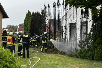 Gas stove malfunction: garden fence catches fire