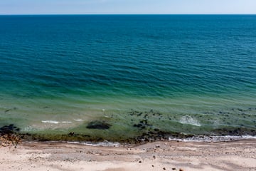 Etliche tote Fische an Ostsee-Stränden angeschwemmt