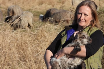 Hamburg: Boberger Dünen: Umweltbehörde streicht 70 Tiere, Schäferin widerspricht der Begründung