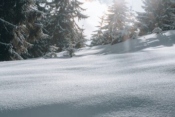 Eight out of nine missing skiers lost in California avalanche have been found dead