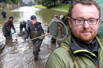 Dresden: 250 Karpfen durften im Wasser bleiben: Großes Abfischen im Zwingerteich