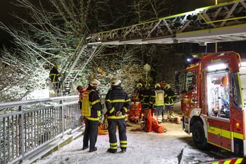 Gute Tat mit Folgen: Frau will Katzen füttern und stürzt mehrere Meter in die Tiefe