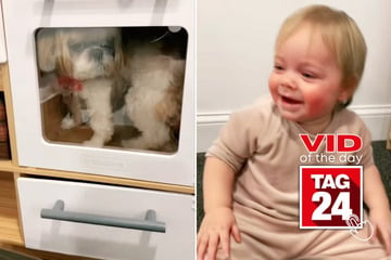 Viral Video of the Day for February 20, 2025: Baby's belly laugh over dog in toy oven goes viral!