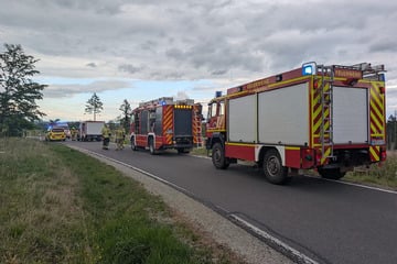 Junger Biker kommt von Straße ab und prallt gegen Baumstumpf