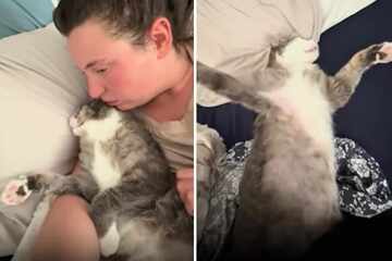 Woman thinks her cat is playing dead – then she realizes the horrifying truth