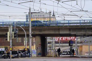 Magdeburger Ringbrücken auf dem Prüfstand: Das hat die Untersuchung ergeben