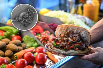 Norovirus! Über 70 Menschen nach Döner-Imbiss-Besuch in NRW erkrankt