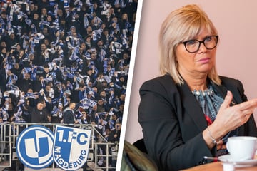Nach super FCM-Saison: Gibt's jetzt ein neues Stadion?