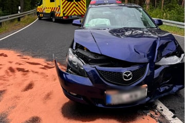 Mercedes-Fahrer weicht Tier aus und knallt in Mazda