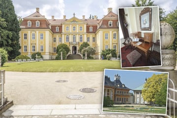 Dresden: Noch nichts vor am Sonntag? Hier sind 8 Tipps für Dresden und Umgebung