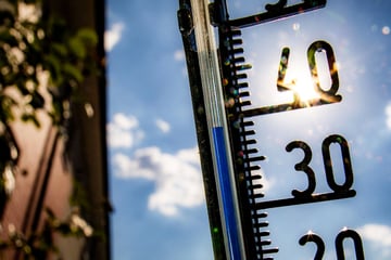Frankfurt: Hitze in Hessen: Rettungsdienst bittet um Mithilfe! Das müsst Ihr diese Woche unbedingt beachten