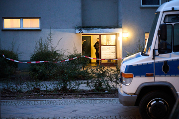 Berlin: Nach Polizeieinsatz in Wohnung von RAF-Terroristin Klette: Schwere Kriegswaffen gefunden!