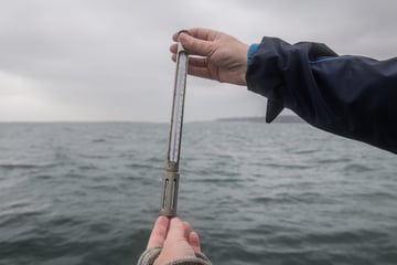 Nordsee erhitzt sich: Forscher messen Temperatur-Rekordhoch
