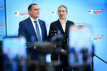 Neuer Umfrage-Rekordwert! AfD überholt Union