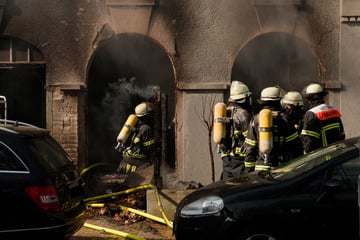 Hamburg: Feuer in Hamburger Theater! Katze gerettet, vier Personen im Krankenhaus