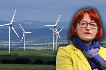 Bürgermeisterin stemmt sich gegen Windrad-Pläne in Sachsen
