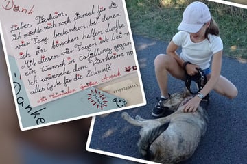 Anouk packt vier Tage im Tierheim mit an - Personal ist hin und weg: "Kleines Mädchen mit einem ganz großen Herzen"