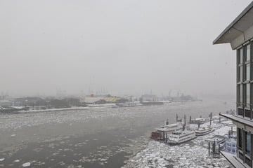 Erneuter Schneefall in Hamburg! So sind die Aussichten für die kommenden Tage