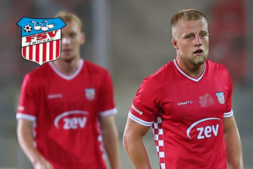 FSV Zwickau kassiert gegen Halle nächste Heimpleite