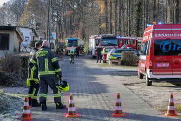 Tragischer Unfall bei Fällarbeiten: Mann wird von Baum eingeklemmt und stirbt