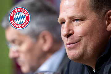 Max Eberl zurück bei seinem "Herzensverein": "Es geht nur um den FC Bayern"