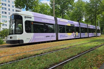 Mit einem "Swipe": Wofür diese DVB-Straßenbahn jetzt Werbung macht