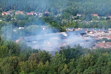 Sägewerk brennt lichterloh: Feuerwehr mit Großaufgebot vor Ort