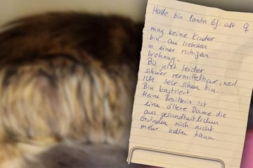 Tierretter finden Box mit Zettel: Was drinnen ist, Power Herzen schwer